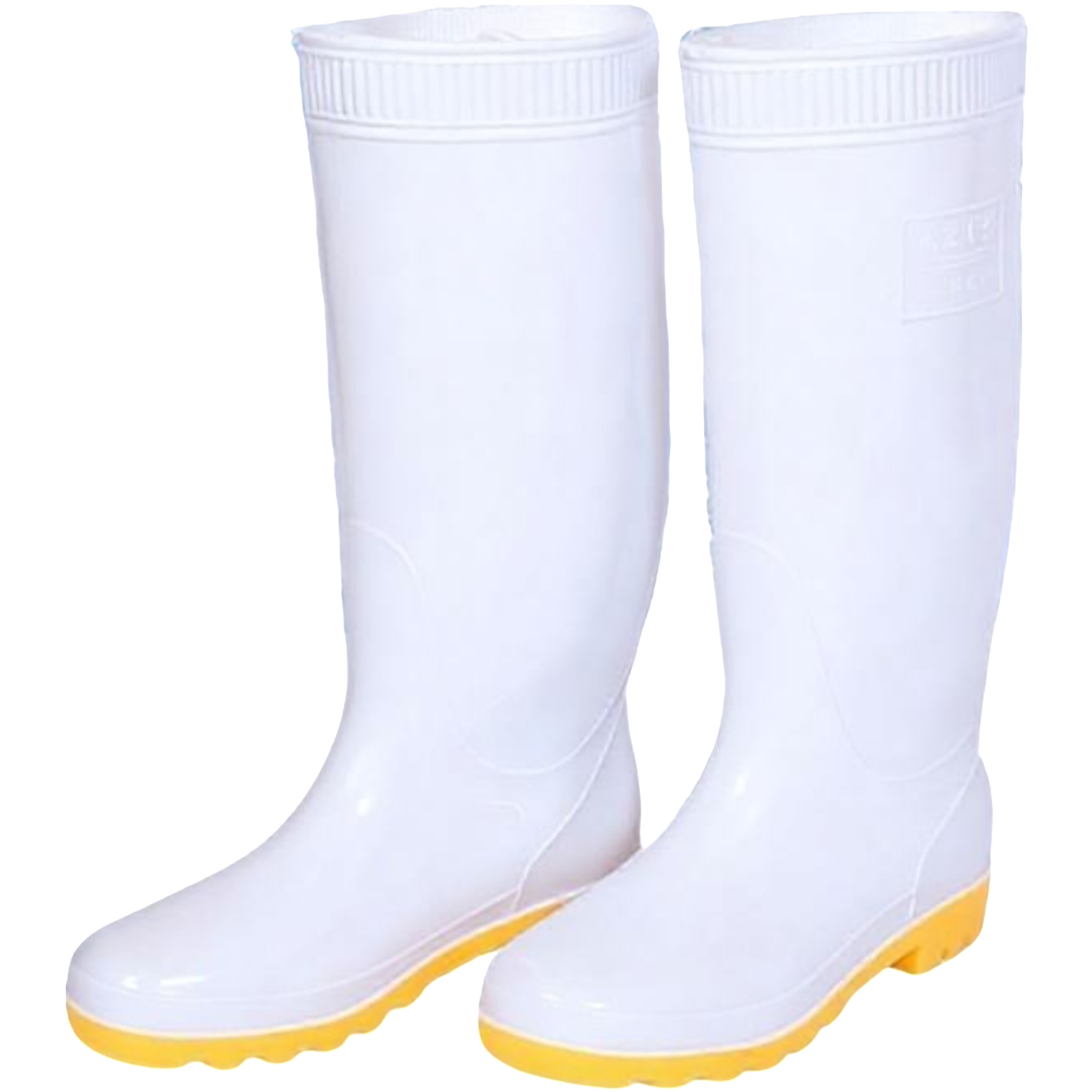 Acid & Alkali Resistant Boots